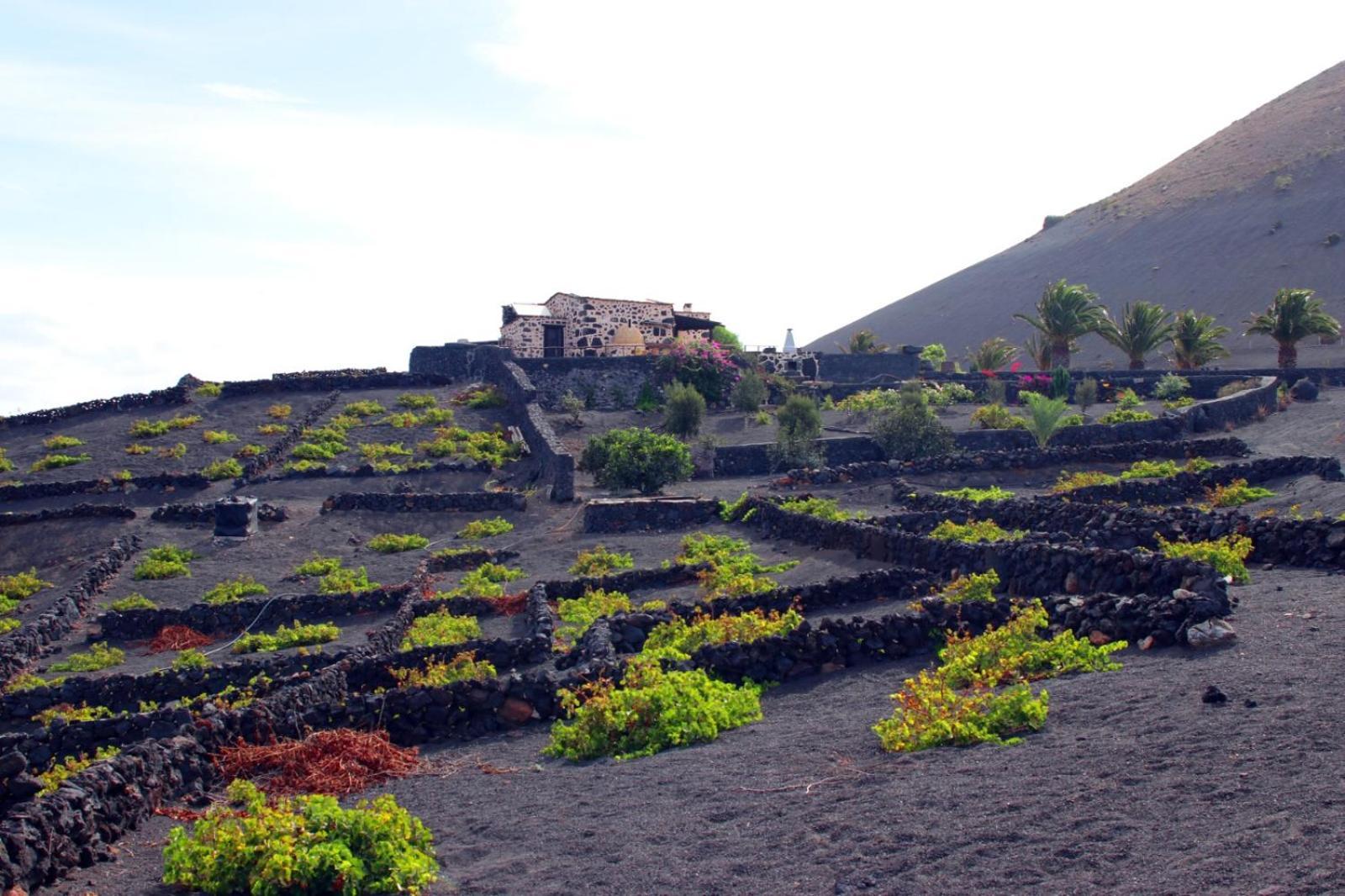 Casa Rural Vega De Timanfaya Uga المظهر الخارجي الصورة