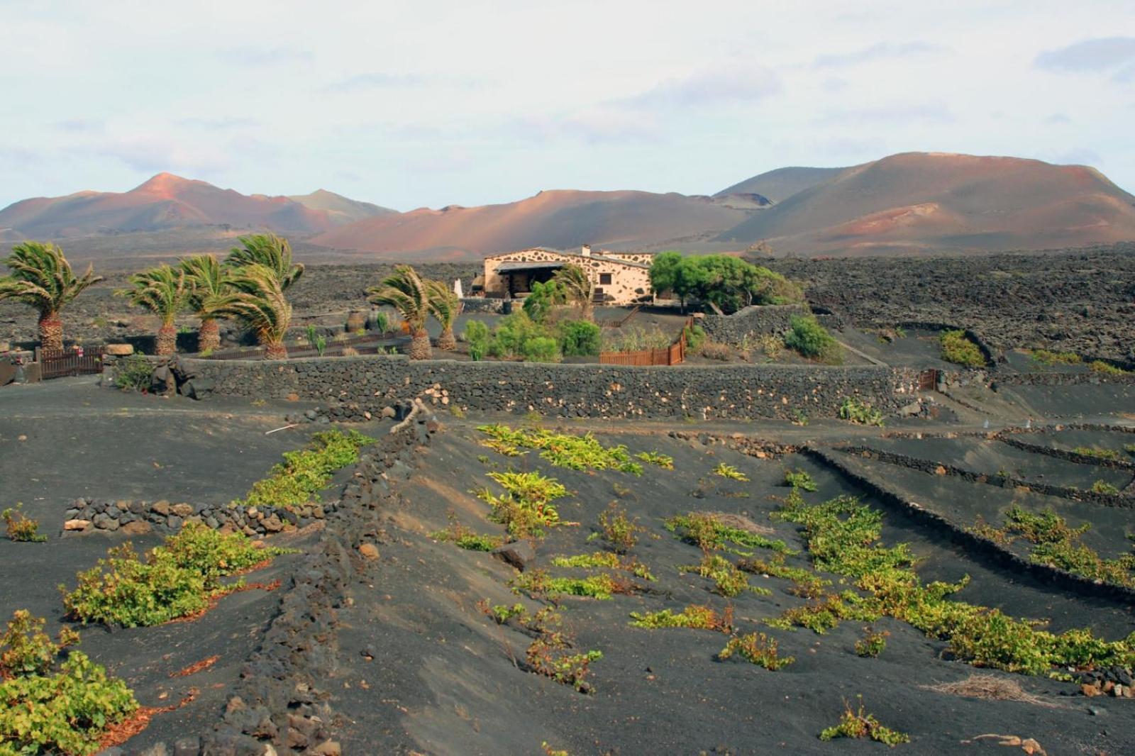 Casa Rural Vega De Timanfaya Uga المظهر الخارجي الصورة