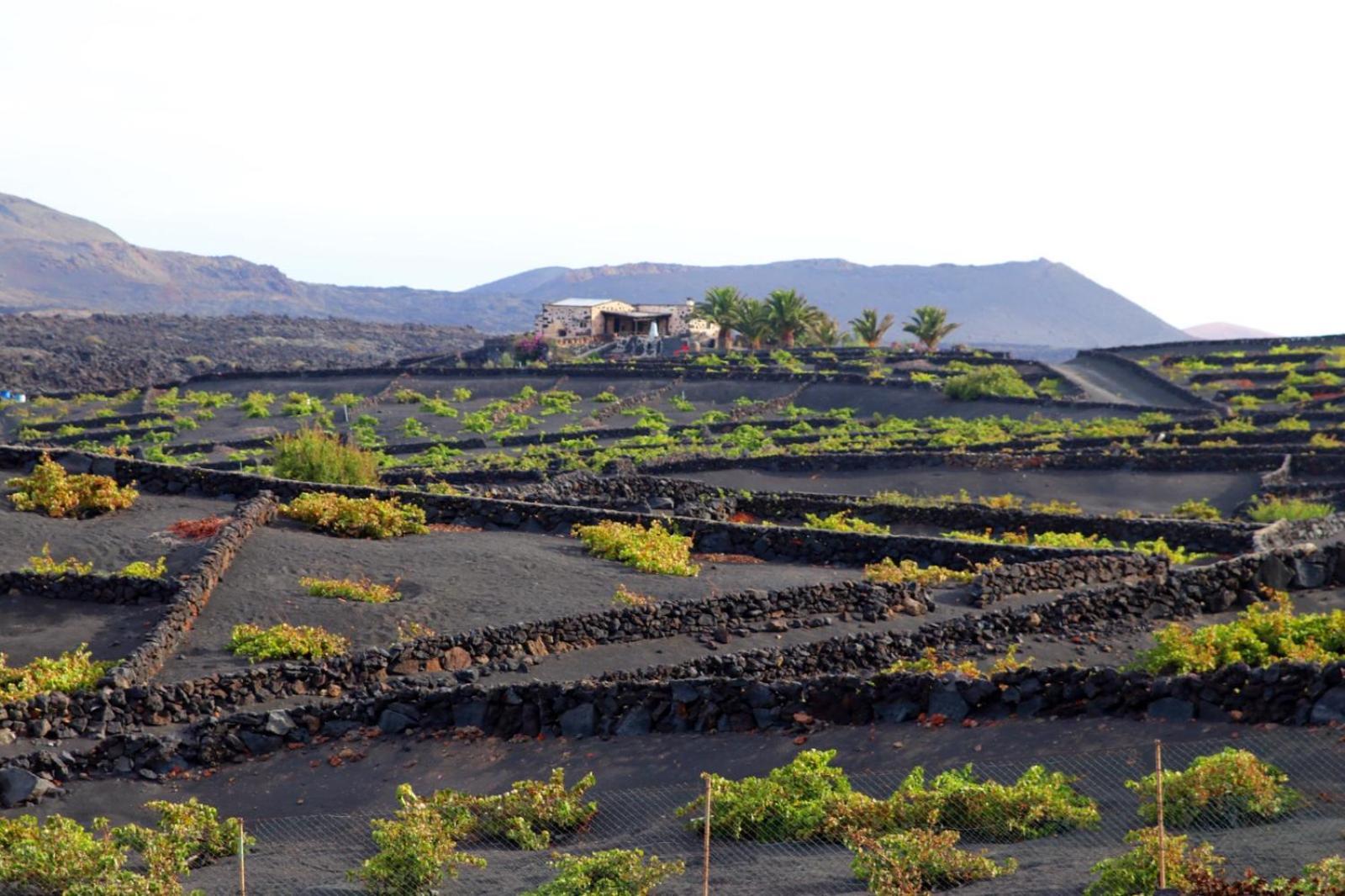 Casa Rural Vega De Timanfaya Uga المظهر الخارجي الصورة